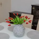 Apartman Garden Retreat - *